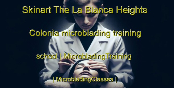 Skinart The La Blanca Heights Colonia microblading training school | MicrobladingTraining | MicrobladingClasses | SkinartTraining-United States